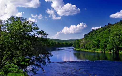 Tune Into Your Heart, Remember Your Home Frequency