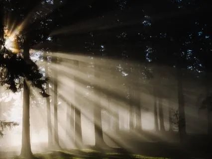 Tune Into Your Highest Frequency: Manifest, Receive
