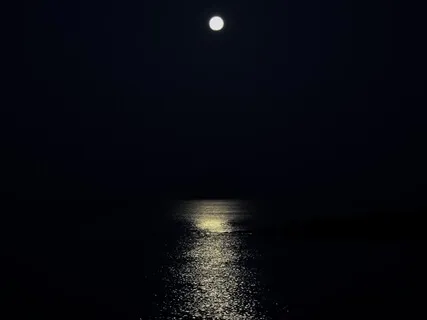 Tuning Forks & White Noise - ASMR Sound Healing Meditation