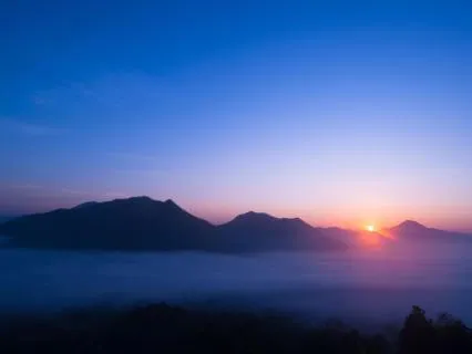 Tuning Forks For Clearing Heavy Energy From Your Chakras