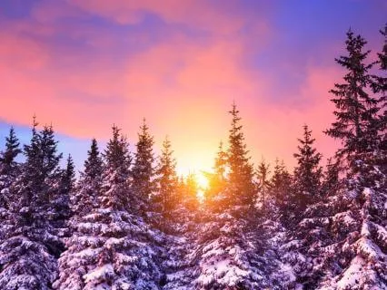 Tuning Forks To Attract Abundance! 432 Hz + 777 Hz + 888 Hz