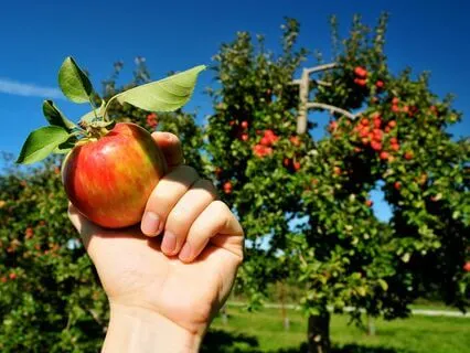 Tuning Forks To Attract Abundance Easily & Quickly