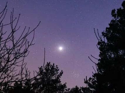 Tuning Forks To Strengthen Your Feminine Energy