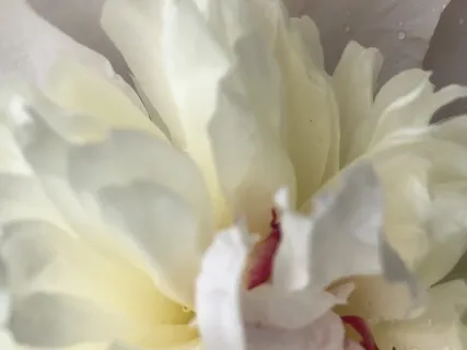 Tuning In To Inner Wisdom