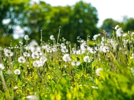 Tuning In To My Surroundings