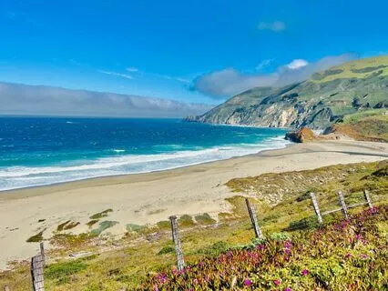 Tuning In To The Body