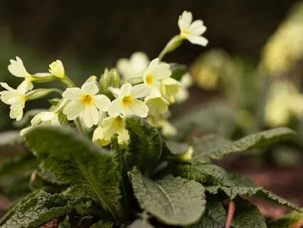 Tuning In To The Energy Of Life  - February 16