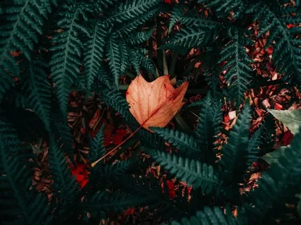 Tuning In To The Moment 