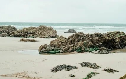 Tuning Into Breath & Body