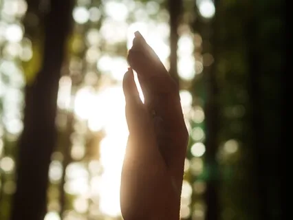 Tuning Into Higher Guidance