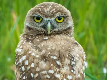 Tuning Into Intuition - Take A Five Series