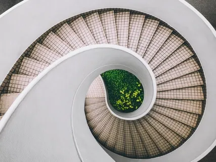 Tuning Into Precognition