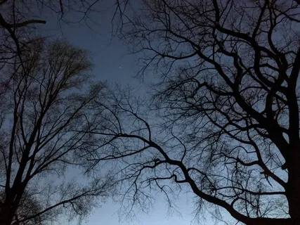 Tuning Into Sensation - Body Scan - 17 Minutes