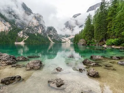 Feel Your Body, Find Your Calm