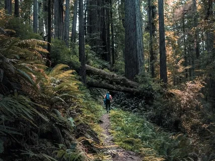 Tuning Into The Breath