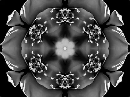 Tuning Into The Heartmind