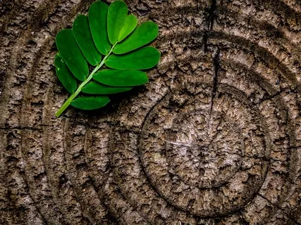 Tuning Into The Present Moment - Session 1