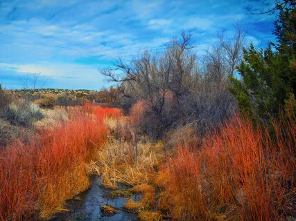 Tuning Into The Seasons