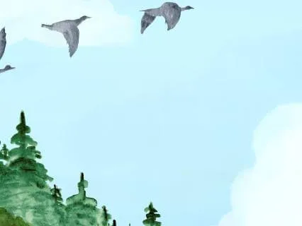 Tuning Into The Senses