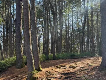 Tuning Into What Feels Okay