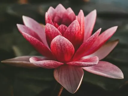 Tuning Into Your Heart