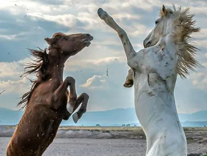 Tuning Into Your Purpose