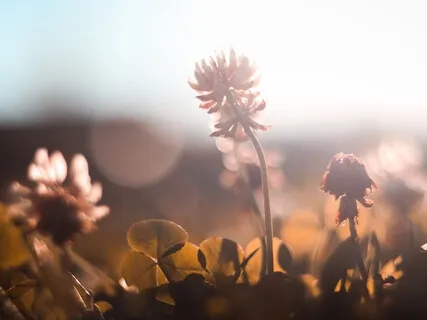 Tuning Into Your Senses | Quick Morning Meditation