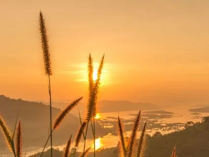 Tuning Inward To Greet Self