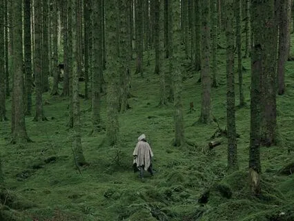 Tuning With Nature – 3d Binaural Schumann Resonance