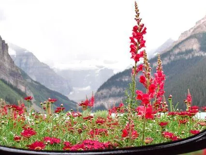 Turn Confusion Into Clarity