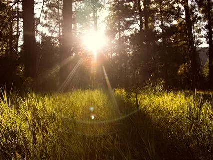 Turn Fear & Anxiety Into Love