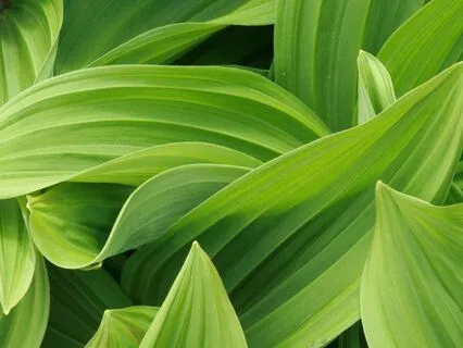 Turn Fear Into Strength: Find Your Brave Side