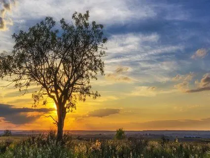 Turn My Day Around | A Two-Minute Mood Reset