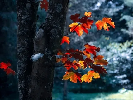 Turning Negatives into Positives