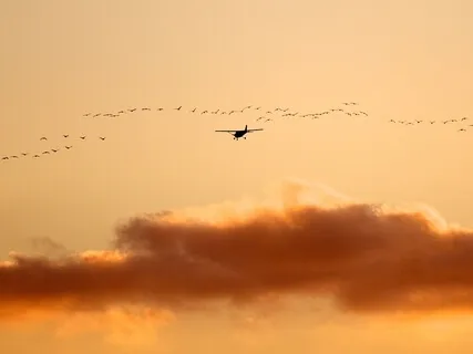 Turn Off Auto-Pilot & Create Change