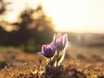 Turn On High Awareness & Set Intentions For A Magical Day