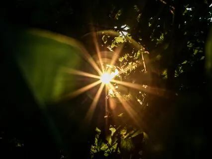 Turn On Your Chakras