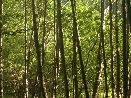 Turn Stress to Compassion