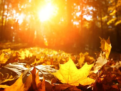 Turn Your Day Around 