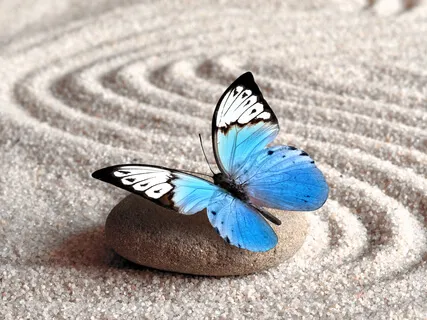 Turn Your Discomfort Into Healing