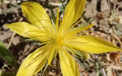 Turn Yourself In: Ep 28: D3 - Bloom And Grow