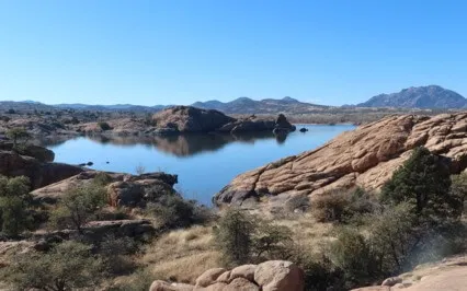 Turn Yourself In: Ep 31: D4 - Trust Your Higher Self