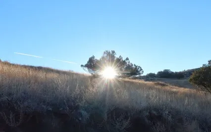 Turn Yourself In: Ep 32: D4 - Share Your Gifts ...