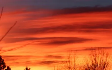 Turn Yourself In: Ep 33: D4 - Let Go Of Attachments