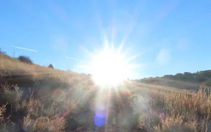 Turn Yourself In: Ep 35: D4: Surrender To Source