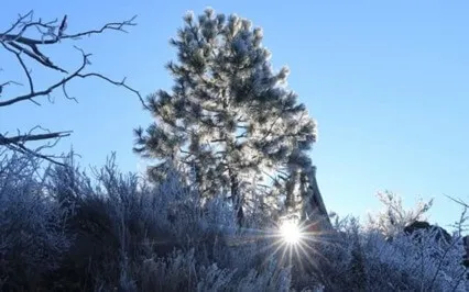 Turn Yourself In: Ep22: D3 - Accept Yourself & Others