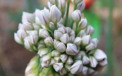 Turn Yourself In: Ep23: D3 - Accept Your Gifts & Purpose