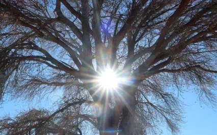 Turn Yourself In: Ep30: D4 - Know You Are Holy