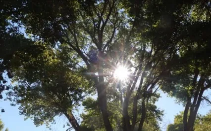 Turn Yourself In Podcast: Ep 10: D1 - Train The Mind & Body