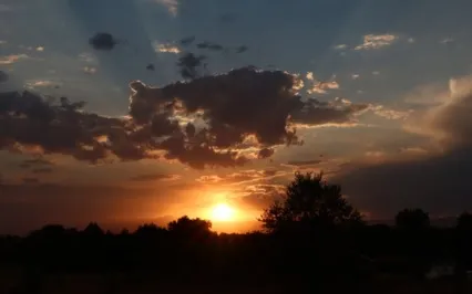 Turn Yourself In Podcast: Ep 11: D1 - See Love & God in All 